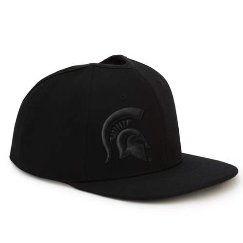 MSU GZO SNAP: snap back for locs