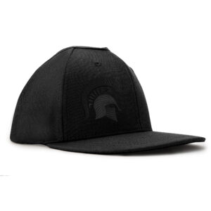 Michigan State GZO SNAP